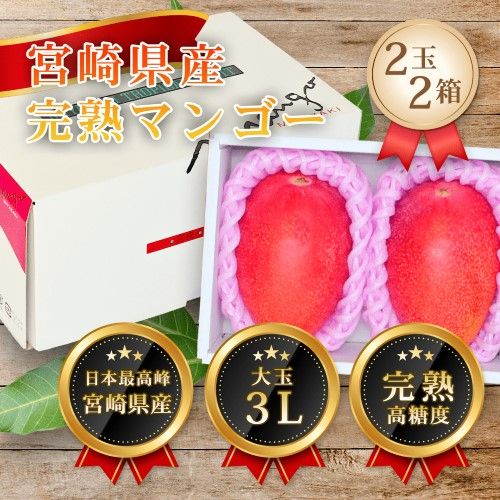 宮崎県産 完熟マンゴー 3L×2玉×2箱セット 大玉