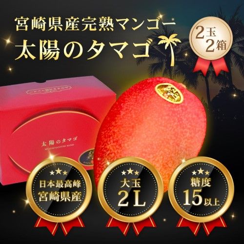 宮崎県産 太陽のタマゴ(完熟マンゴー) 2L×2玉×2箱セット 大玉